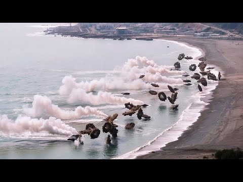 Drone's Camera Caught Something Incredible