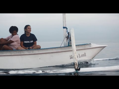 Uncollege Voyage Video