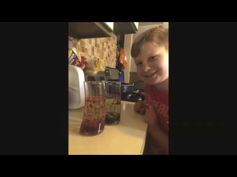 Miscellaneous Science projects