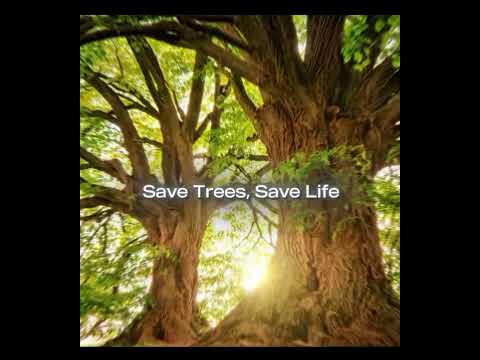 Save trees,Save life