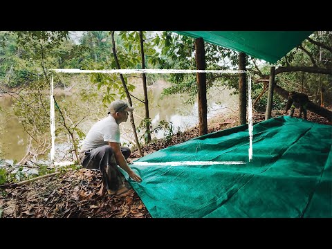 What Living in the Jungle Looks Like (Full BTS Access)