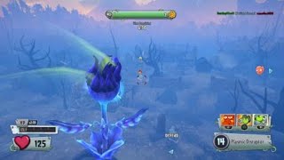 GW1 Wall Nut Hills map in GW2?