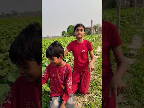 Pi Network की जय हो #pi #pinetworkpriceinindia