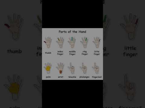 Part of Hand#studylover #fypyoutube  #englishlearning#englishspeaking #englishvocabularyforbeginners