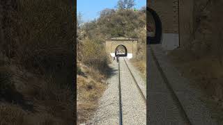 Loco pilot / train driver stopped the train when a gangman showing red #shors #train #ytshorts #yt
