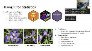 Introduction to R Tutorial