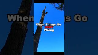 HUGE Tree Nose Dive! #treeremoval