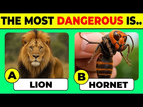 Animal Quiz Challenge – Can You Name Them All? ✅