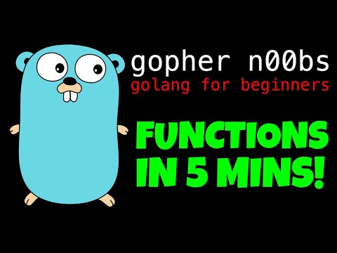 GOLANG FUNCTIONS IN 5 MINUTES!!!!!! Go func( ) Tutorial for Beginners