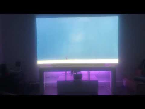 LG C9 OLED 65 inch with Glass RGB TV Stand