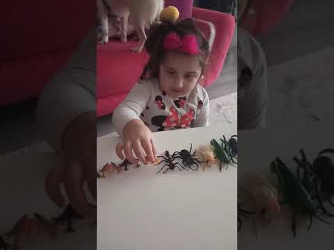 KARDESİM EFLAL KÜÇÜK HAYVANLARİ ANLATİYORRRRRRR