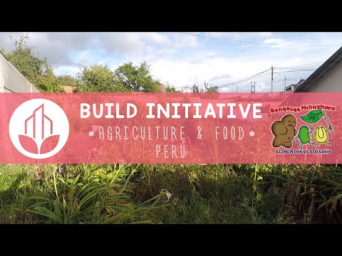BUILD Projects - La Canasta Solidaria Mihuna Kachun | PERU
