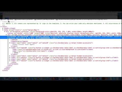 Animate CC(HTML 5) Radioset component