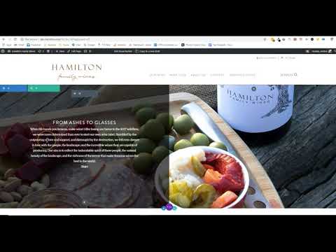 Adding a Global Section to your Page Template in Divi Theme
