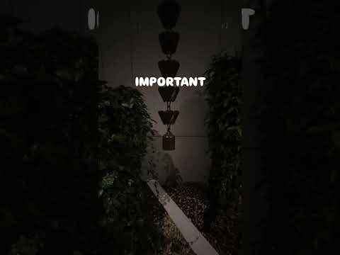 Always remember this while working #southkorea #digitalnomad