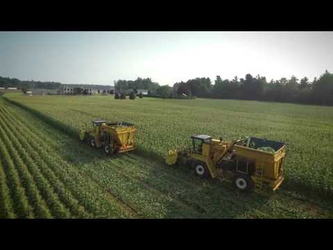 Who We Are and What We Do | Scotlynn