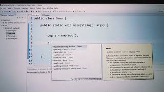 the object class in Java - the base class of all classes.