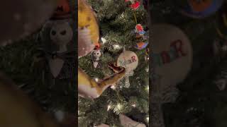 There’s a snake in my tree!!  #ballpython #snake #reptiles #piedballpython