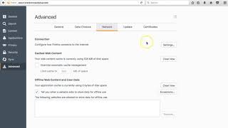 How to Use Blazing Proxies and SOCKS Protocol With Firefox