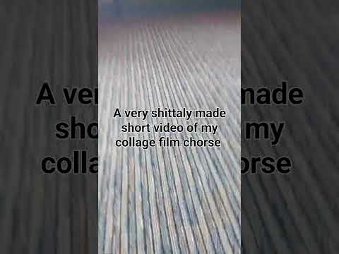 A very slightly made collage film for my college film chore