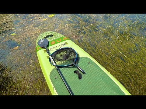 Paddleboard Fishing Guide