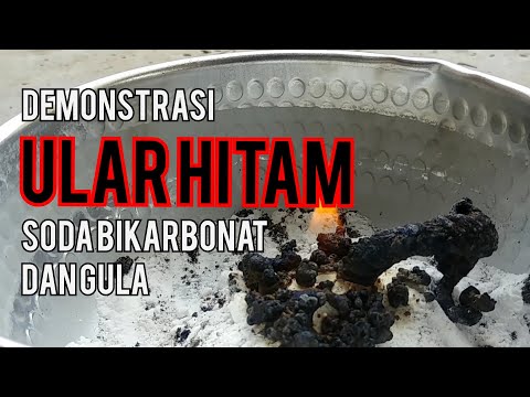 Demonstrasi Ular Hitam - soda bikarbonat tambah gula