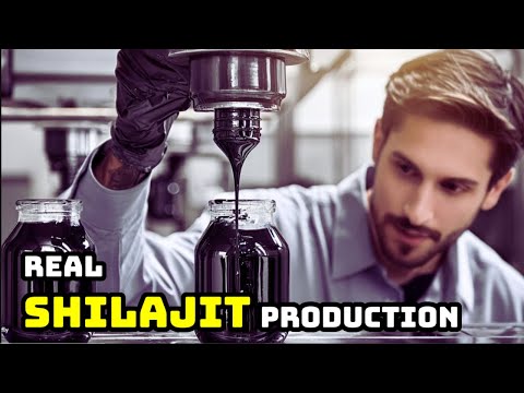 How Shilajit is Extracted From Mountains | How It's Made Real Shilajit