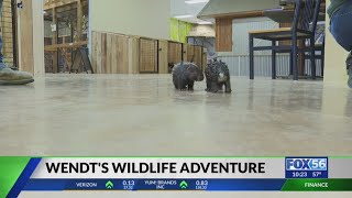 Kentucky's Wendt's Wildlife Adventure welcomes new babies