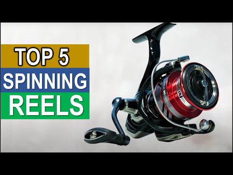 BEST Spinning Reels Top 3 2025
