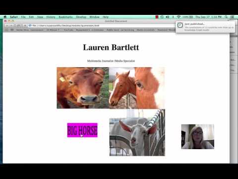 LaurenSite