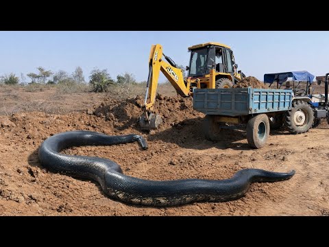 New JCB 3dx Eco Loading Mud Tractor's | Mahindra Tractor , NewHolland Tractor Trolley and Tracks