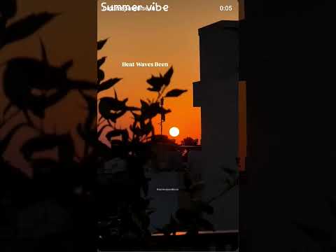 ๐ฅต summer days