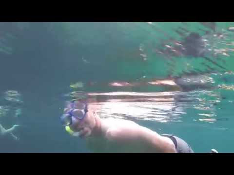 Riviera Maya Cenote 003