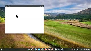 ChromeOS | Linux Development Environment | Close LDE