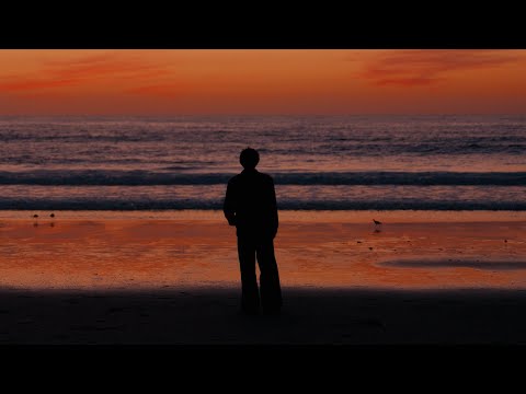 this year, i distracted myself with the process