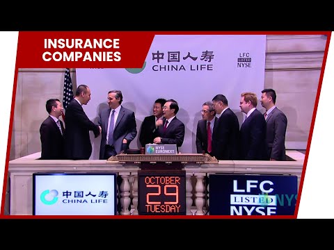 Discover the Top 5 Rated Insurance Companies in the World