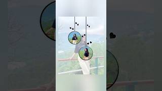 #Aesthtic whatsapp story ideas 💕🌿#whatsappnewtrendstutus | viral stutus video for girls
