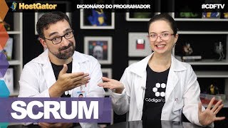 Scrum // Programmer's Dictionary