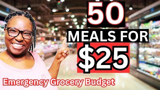 50 Meals for $25 | Budget Cooking Challenge for a Family of 5
