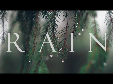 RAIN｜Cinematic short film / Rainy Nature B roll