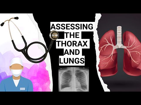 ASSESSING THE THORAX AND LUNGS: IMPORTANCE AND TECHNIQUES