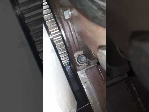 What is inside a gear?