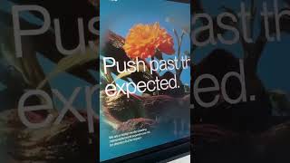 Framer - Video reveal effect using Unicorn studio. #framer #webgl #webdesign