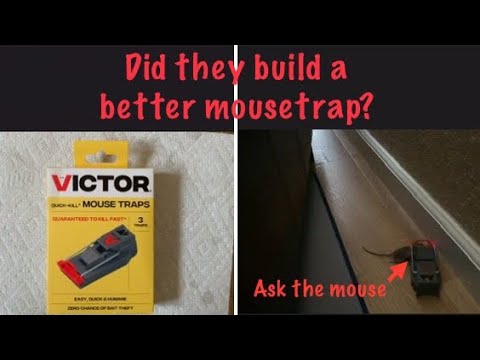 How to Catch a Mouse with the VICTOR QUICK-KILL MOUSETRAP.