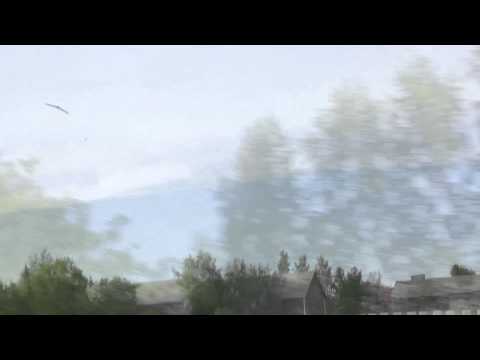 Flying Multiplex Xeno RC flying wing