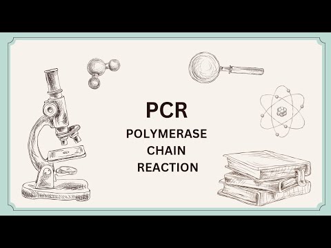 PCR Polymerase chain reaction CSIR NET lifesciences