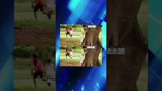 Programming memes, only humor #jokes #fy #fyp #soft #software #code #it #technology #git