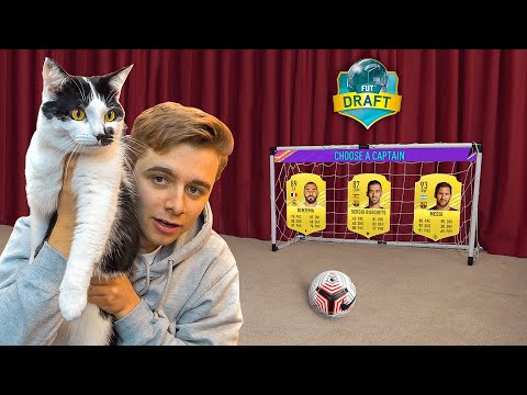 My Cat's Football Skills Pick My Fifa 21 Draft