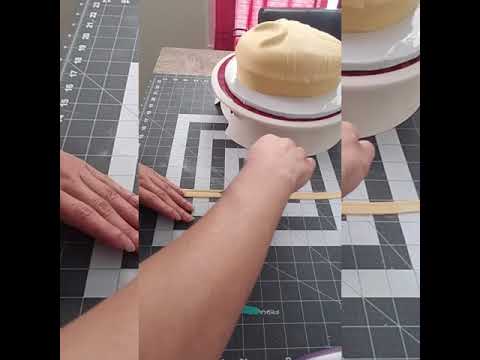 Madagascar Hissing Roach Timelapse By Mill City Cakes Tutorial