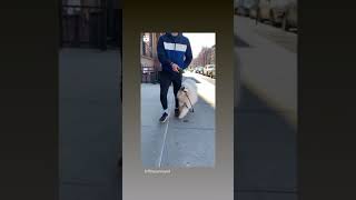 so cute #Shorts | Cute Stuff